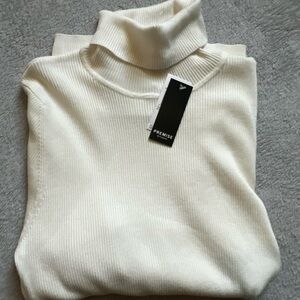 Premise Cream Turtleneck Sweater